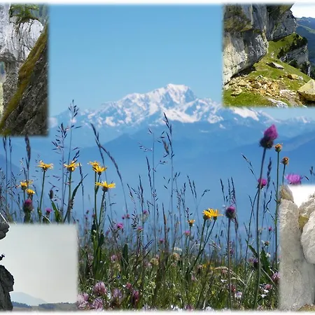 Le Coin Des Marmottes